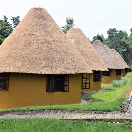 Kibale Guest Cottages Fort Portal ภายนอก รูปภาพ
