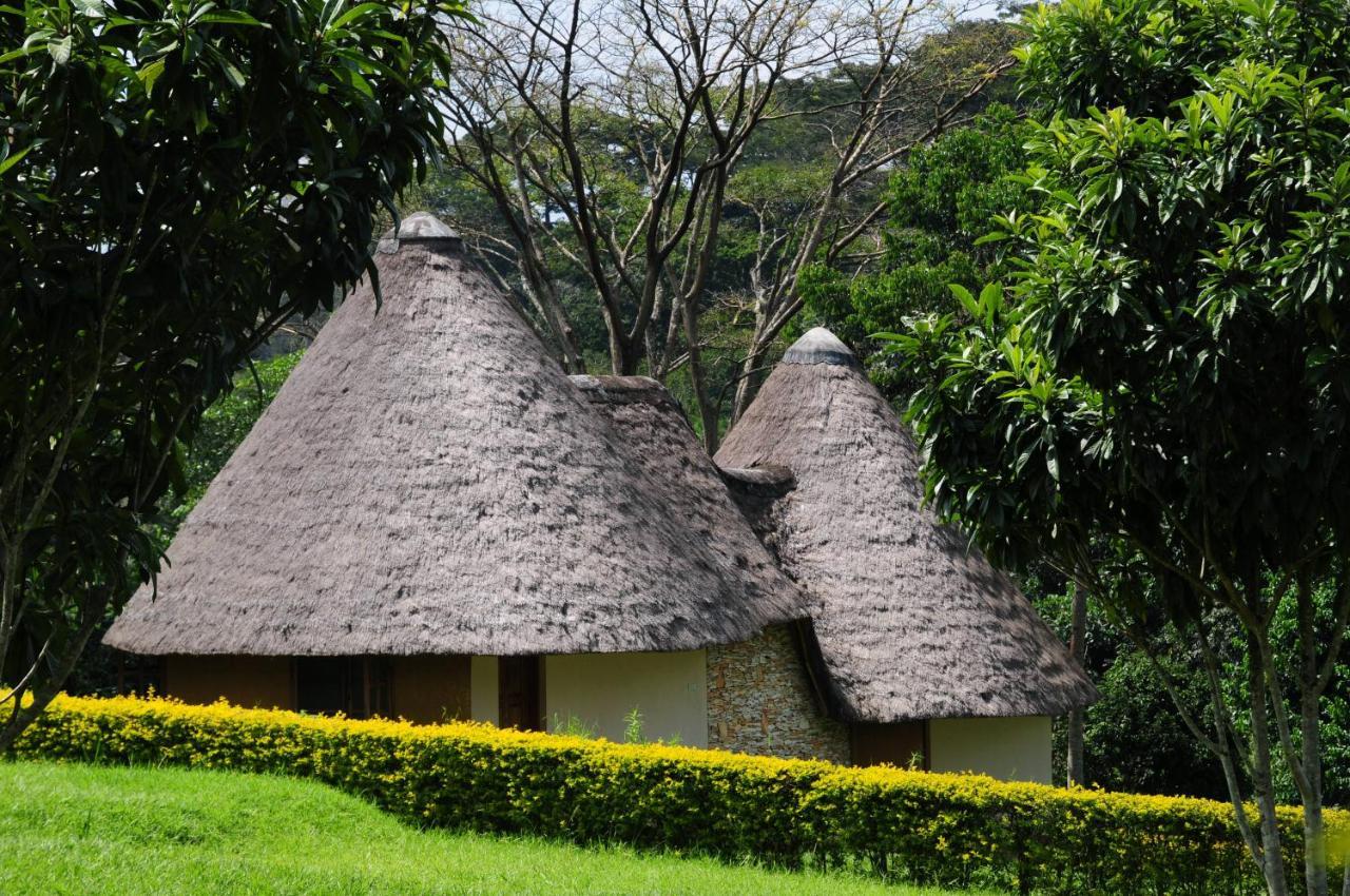 Kibale Guest Cottages Fort Portal ภายนอก รูปภาพ