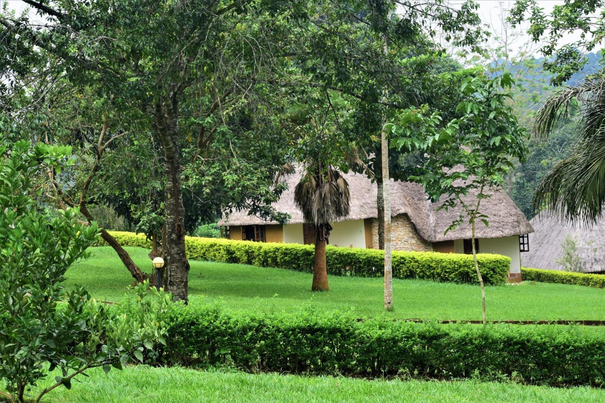 Kibale Guest Cottages Fort Portal ภายนอก รูปภาพ